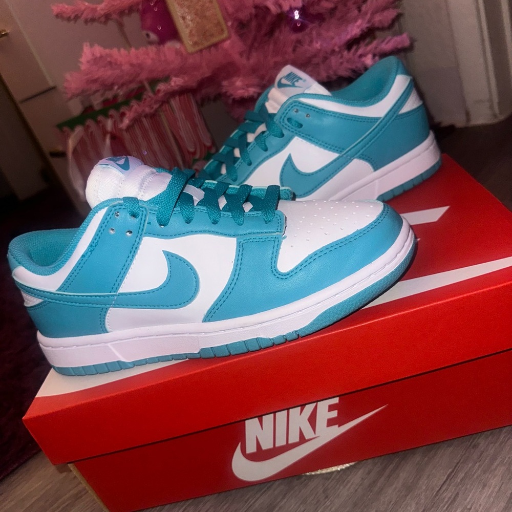 Brand new Nike Dunks still in the box 🩵